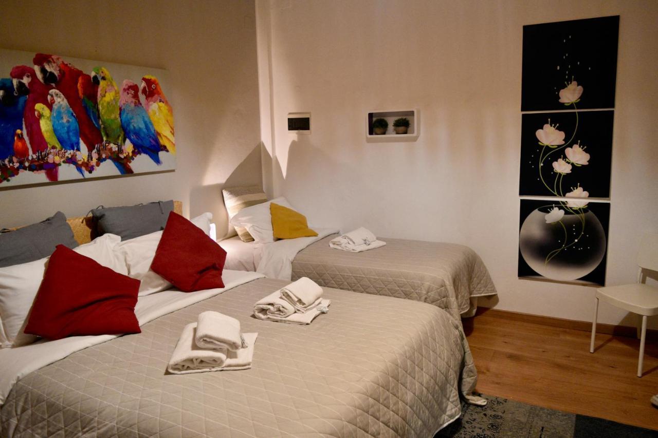 B&B Maggiore 58 Bolonia Zewnętrze zdjęcie