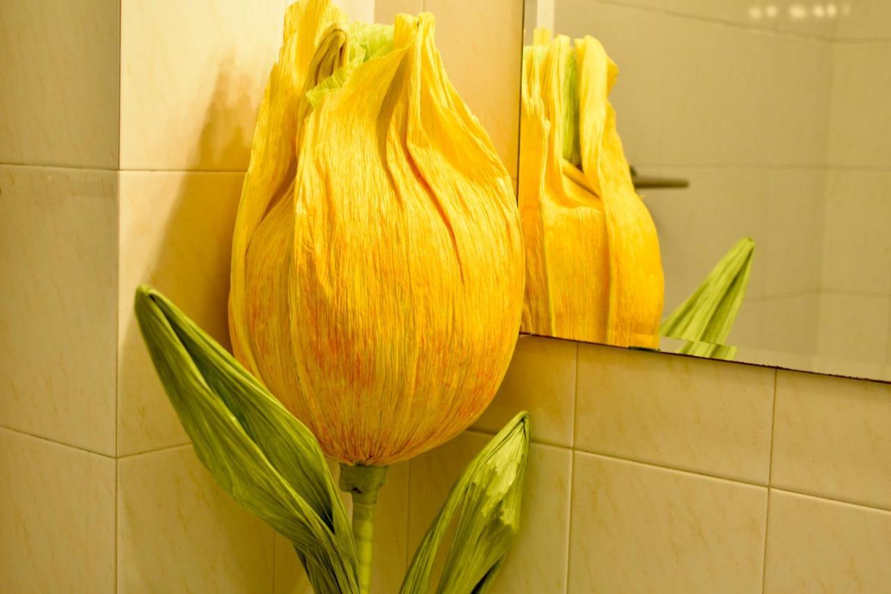 B&B Maggiore 58 Bolonia Zewnętrze zdjęcie